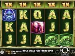 Jungle Gorilla Slots